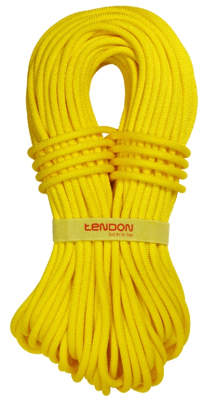 Tendon Ambition 9,8 Complete shield 40m - yellow