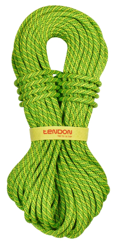 Tendon Ambition 9,8 Standard 30m - green